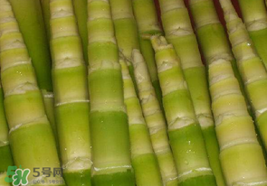 竹筍不焯水有毒嗎？竹筍不過水能吃嗎？