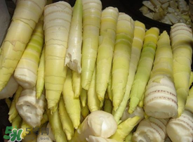 竹筍有毒嗎？吃竹筍會(huì)中毒嗎？