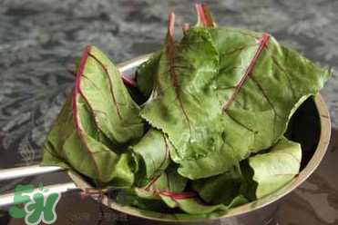 甜菜葉是否可以生吃？甜菜葉可以生吃嗎
