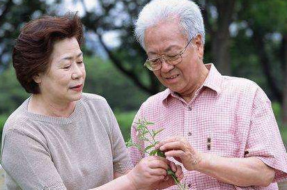 高血脂能不能吃雞蛋？血脂高可以吃雞蛋嗎