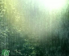 四月份會一直下雨嗎？2017年四月份為什么一直下雨？