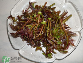 涼拌香椿要過(guò)水嗎？香椿涼拌前需要用開(kāi)水焯一下嗎？