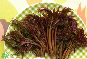 香椿芽可以冷凍嗎？香椿芽怎么冷凍？