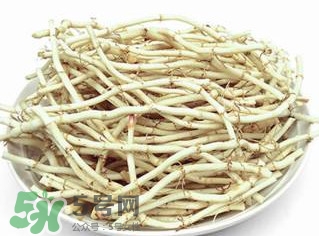 新鮮魚腥草怎么煮水？魚腥草怎么煮水喝
