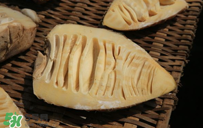 竹筍什么時(shí)候有？竹筍什么時(shí)候最好吃？