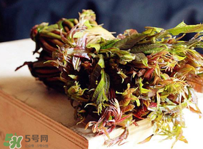 香椿很貴嗎？香椿為什么那么貴？