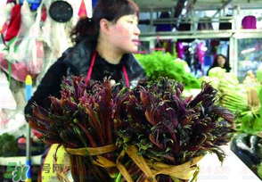 香椿很貴嗎？香椿為什么那么貴？
