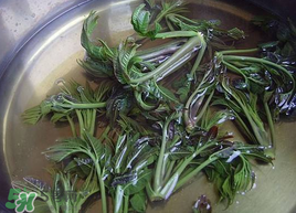 香椿為什么要用開水燙？香椿用開水燙多久？