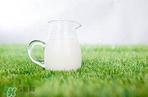 香椿可以和牛奶一起吃嗎？香椿和牛奶能一起吃嗎？