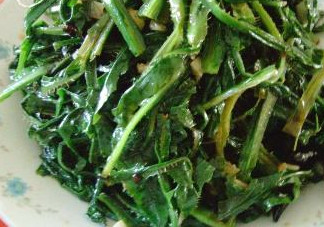 苦苦菜是什么菜？苦苦菜是苦苣嗎