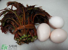 哺乳期可以吃香椿炒雞蛋嗎？哺乳期可以吃香椿炒雞蛋嗎？