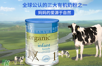 貝拉米奶粉報(bào)價(jià)多少？貝拉米奶粉價(jià)格多少？