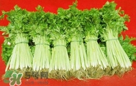 水芹菜怎么吃？水芹菜的做法