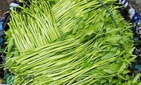 水芹菜怎么吃？水芹菜的做法