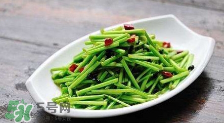 水芹菜孕婦能吃嗎？懷孕的人可以吃水芹菜嗎
