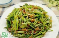 吃水芹菜有什么好處？吃水芹菜有哪些好處