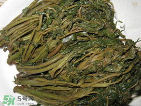 腌香椿要燙嗎？香椿腌之前用不用開水燙？