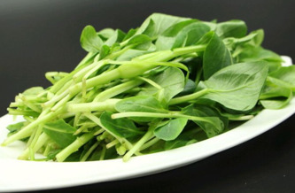 雞毛菜是什么菜？雞毛菜是小白菜嗎