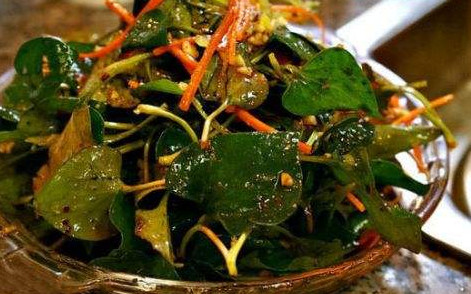 魚腥草根和葉哪個好？魚腥草根好還是葉子好