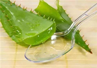 孕婦能喝蘆薈汁嗎？孕婦可以喝蘆薈汁嗎？