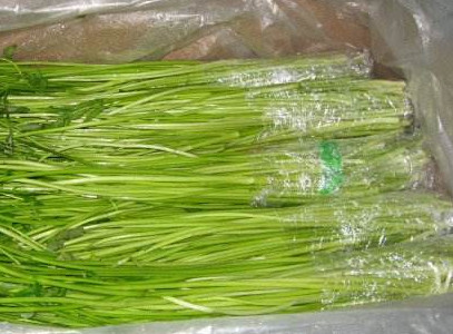 水芹菜如何保鮮？水芹菜怎么保鮮
