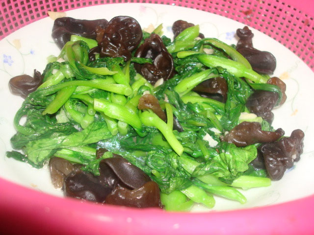雞毛菜是什么菜？雞毛菜是小白菜嗎