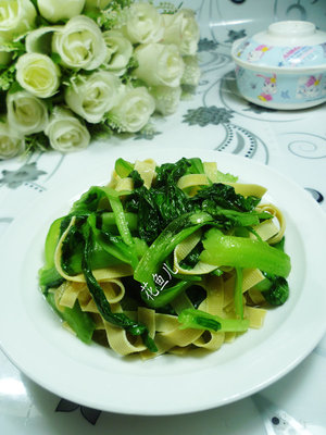 雞毛菜是什么菜？雞毛菜是小白菜嗎