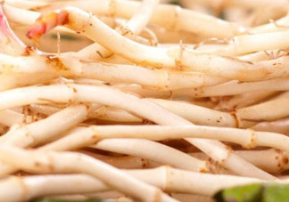 新鮮魚(yú)腥草怎么煮水？魚(yú)腥草怎么煮水喝