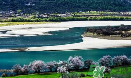 四月份去哪里旅游比較好？四月份最適合旅游的地方