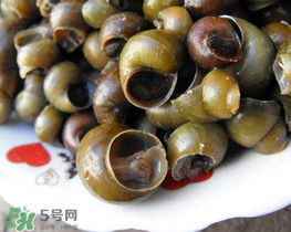 田螺可以凈化水質嗎？田螺能凈化水質嗎？