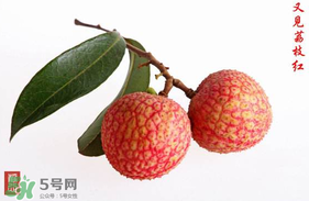 4月份有荔枝嗎？四月份有荔枝嗎？