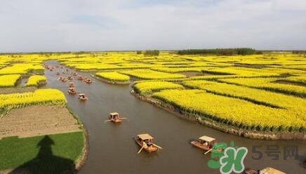 四月份去哪里旅游比較好？四月份最適合旅游的地方