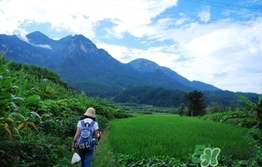 四月份去哪里旅游比較好？四月份最適合旅游的地方