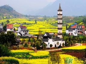 四月份去哪里旅游比較好？四月份最適合旅游的地方