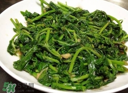枸杞頭怎么吃？枸杞頭如何吃