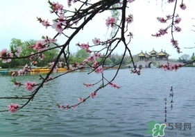 四月份去哪里旅游比較好？四月份最適合旅游的地方