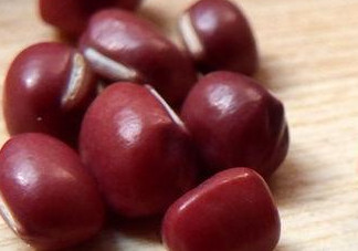 赤豆是什么豆？赤豆是紅豆嗎