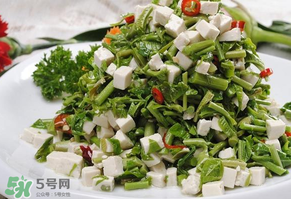 香椿可以助孕嗎？香椿有助孕的功效嗎？