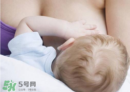 香椿會回奶嗎？吃香椿會回奶嗎？