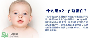 A2奶粉分幾種？A2奶粉有幾個種類？