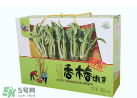 香椿能泡茶嗎？香椿茶的功效與作用