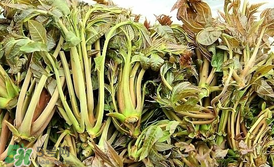 香椿和平菇能一起吃嗎？香椿和香菇能一起吃嗎？