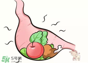 吃香椿會上火嗎？香椿吃多了會上火嗎？