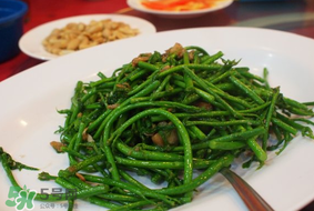 樹仔菜有毒嗎？樹仔菜有沒有毒？