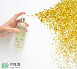 歐緹麗和悅木之源哪個好？歐緹麗皇后水和悅木之源菌菇水