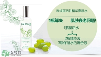 歐緹麗和悅木之源哪個好？歐緹麗皇后水和悅木之源菌菇水