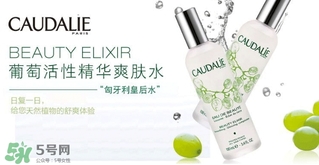 歐緹麗和悅木之源哪個好？歐緹麗皇后水和悅木之源菌菇水