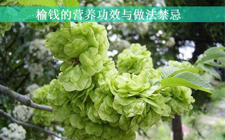 榆錢窩窩頭的家常做法 榆錢窩窩頭蒸多長(zhǎng)時(shí)間