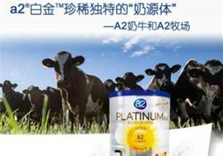 A2奶粉分白金和鉑金嗎？A2奶粉白金鉑金有區(qū)別嗎？