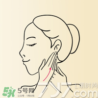 雅頓時(shí)空膠囊怎么用？伊麗莎白雅頓時(shí)空膠囊使用方法